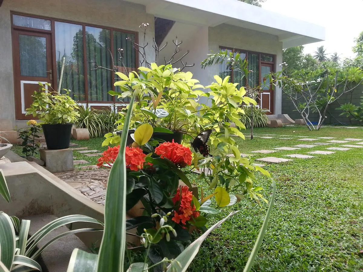 Bed & Breakfast Green Wood Villa Negombo